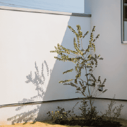 PATIO｜施工事例｜株式会社Kibaco