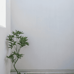 SALON|施工事例|株式会社Kibaco